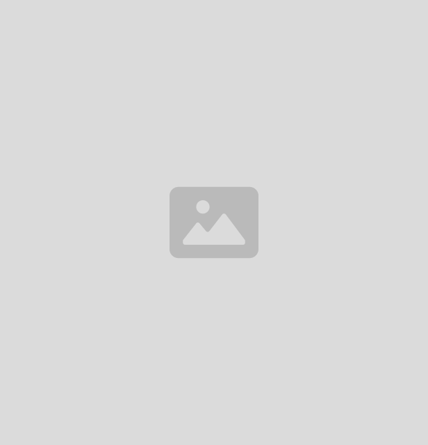 placeholder placeholder